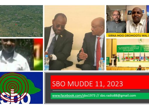 SBO MUDDE 11, 2023