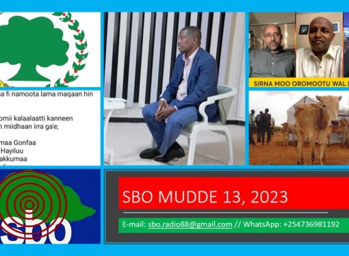 SBO MUDDE 13, 2023