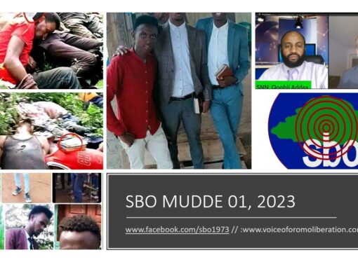 SBO MUDDE 01, 2023