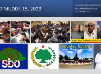 SBO MUDDE 15, 2023