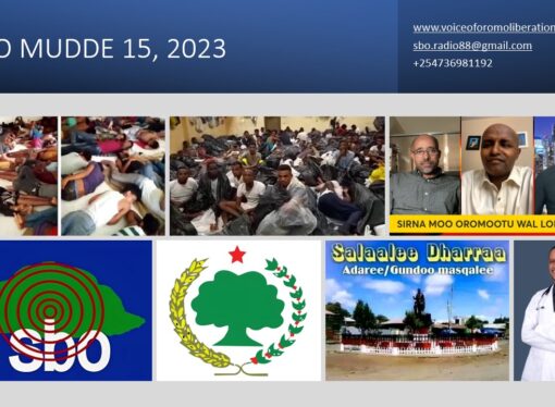 SBO MUDDE 15, 2023