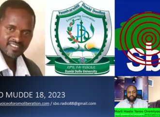 SBO MUDDE 18, 2023