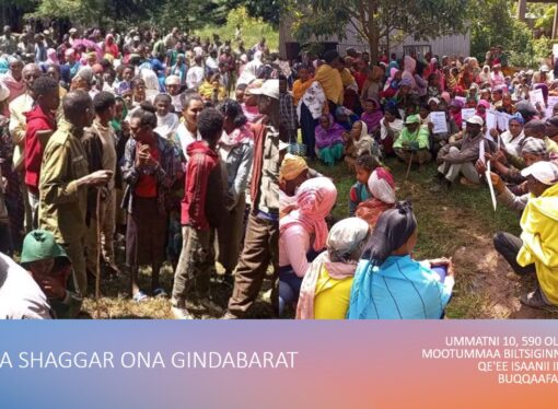 𝐂𝐚𝐫𝐫𝐚𝐚 𝐎𝐫𝐨𝐦𝐨𝐨 𝐒𝐢𝐫𝐧𝐚 𝐈𝐦𝐩𝐚𝐚𝐲𝐞𝐫𝐚 𝐈𝐭𝐨𝐩𝐡𝐢𝐲𝐚𝐚 𝐣𝐚𝐥𝐚𝐭𝐭𝐢!