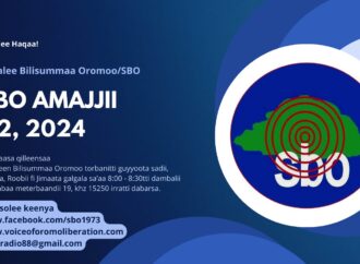 SBO AMAJJII 22, 2024