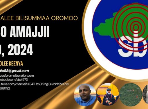 SBO AMAJJII 29, 2024