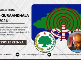 SBO GURAANDHALA 07, 2024