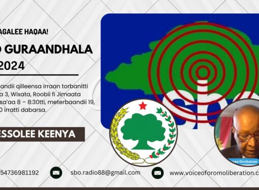 SBO GURAANDHALA 07, 2024