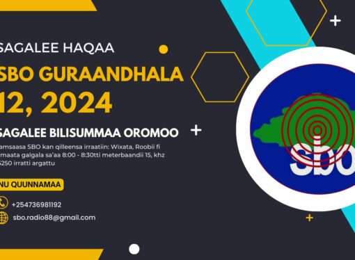 SBO GURAANDHALA 12, 2024