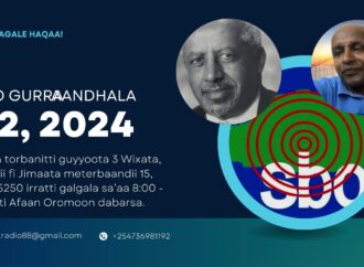 SBO GURRAANDHALA 02, 2024