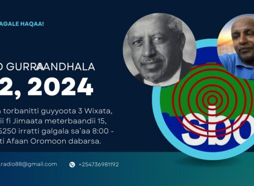 SBO GURRAANDHALA 02, 2024