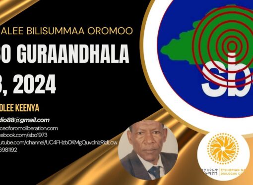 SBO GURAANDHALA 28, 2024