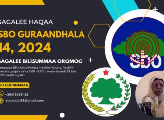 SBO GURAANDHALA 14, 2024