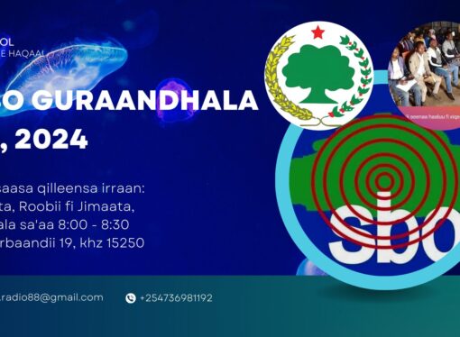 SBO GURAANDHALA 23, 2024