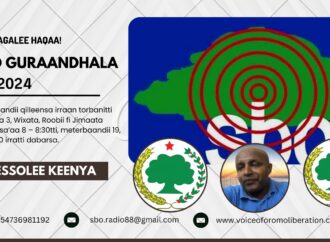 SBO GURAANDHALA 05, 2024