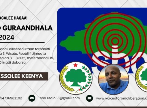 SBO GURAANDHALA 05, 2024