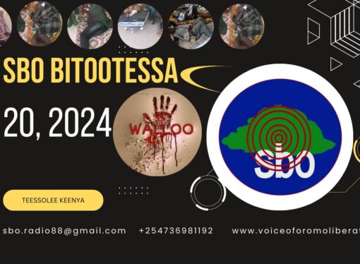 SBO BITOOTESSA 20, 2024