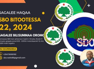 SBO BITOOTESSA 22, 2024
