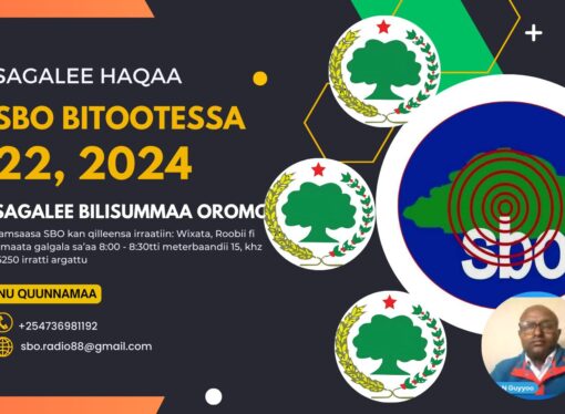 SBO BITOOTESSA 22, 2024