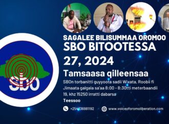 SBO BITOOTESSA 27, 2024