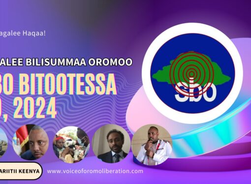 SBO BITOOTESSA 29, 2024
