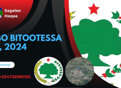 SBO BITOOTESSA 18, 2024