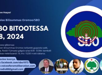 SBO BITOOTESSA 08, 2024