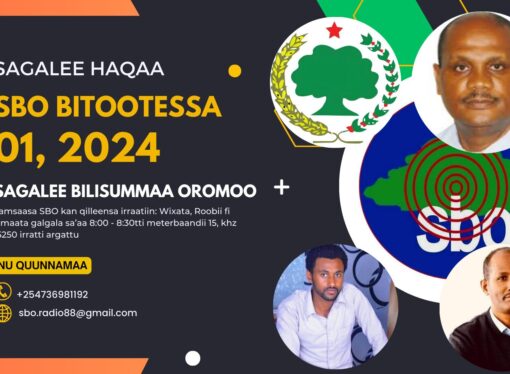 SBO BITOOTESSA 01, 2024