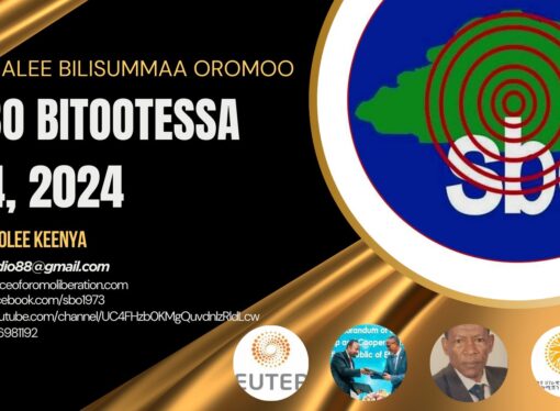 SBO BITOOTESSA 04, 2024