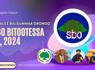 SBO BITOOTESSA 13, 2024