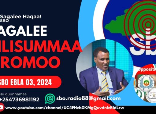 SBO EBLA 03, 2024