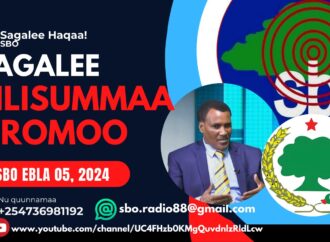 SBO EBLA 05, 2024