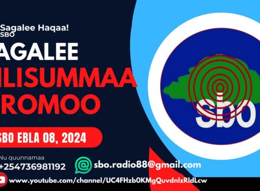 SBO EBLA 08, 2024