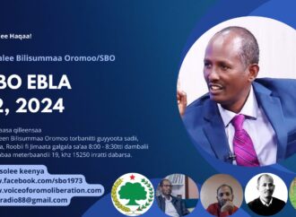 SBO EBLA 12, 2024