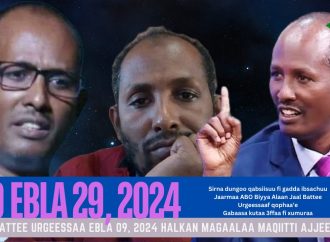 SBO EBLA 29, 2024