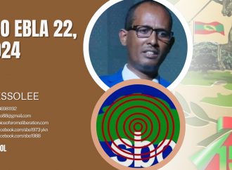SBO EBLA 22, 2024