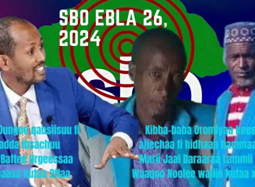SBO EBLA 26, 2024