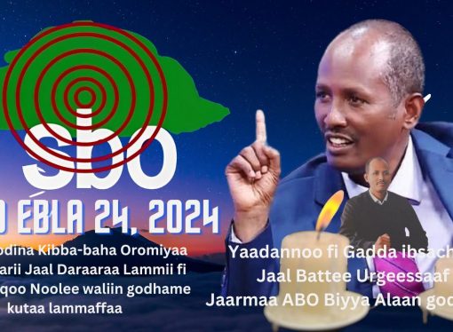 SBO EBLA 24, 2024