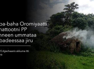 Hidhaa, Ajjeechaa, Manneenii fi Qabeenya Ummataa barbadeeffamaa jiru – Kibba-baha Oromiyaa