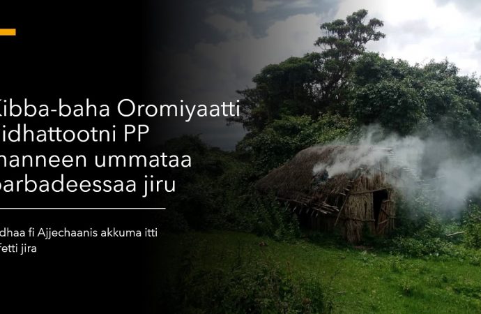 Hidhaa, Ajjeechaa, Manneenii fi Qabeenya Ummataa barbadeeffamaa jiru – Kibba-baha Oromiyaa