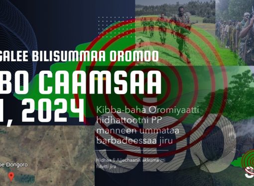 SBO CAAMSAA 31, 2024