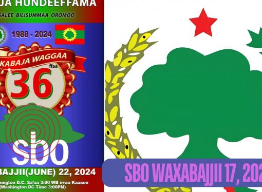 SBO WAXABAJJII 17, 2024