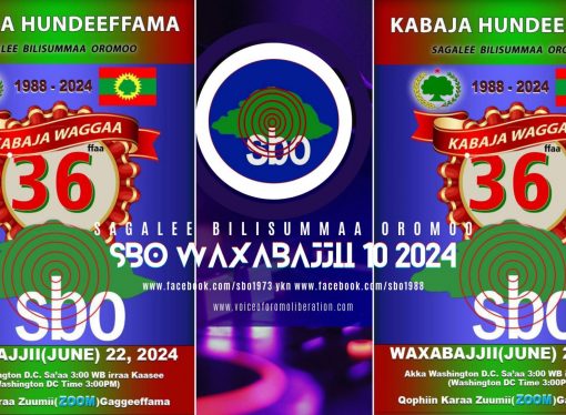 SBO WAXABAJJII 10, 2024