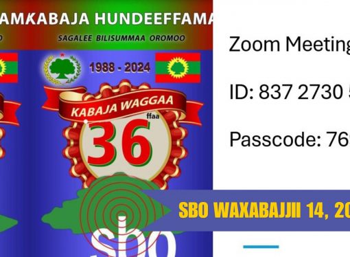 SBO WAXABAJJII 14, 2024