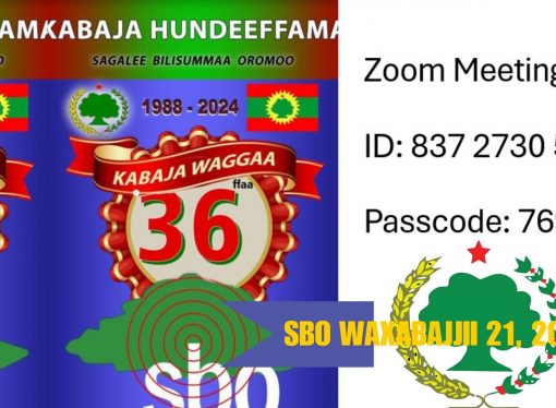 SBO WAXABAJJII 21, 2024