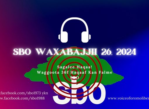 SBO WAXABAJJII 26, 2024