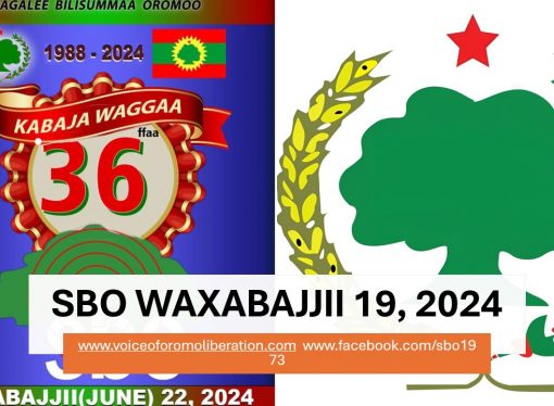 SBO WAXABAJJII 19, 2024