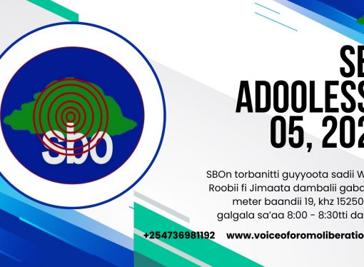 SBO ADOOLESSA 05, 2024