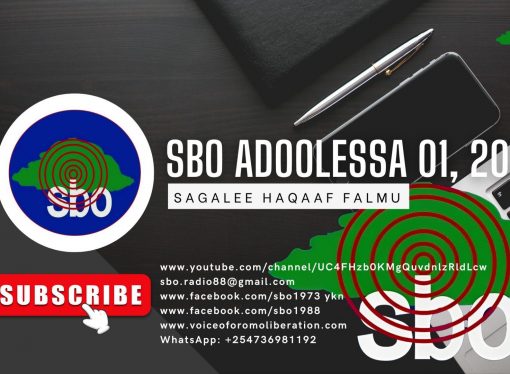 SBO ADOOLESSA 01, 2024