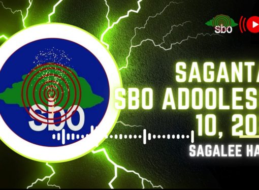 SBO ADOOLESSA 10, 2024