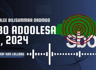 SBO ADOOLESSA 12, 2024